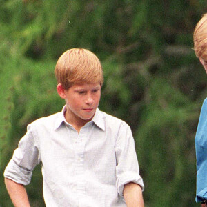 Le prince William, duc de Cambridge, Le prince Harry, duc de Sussex en 1997. 