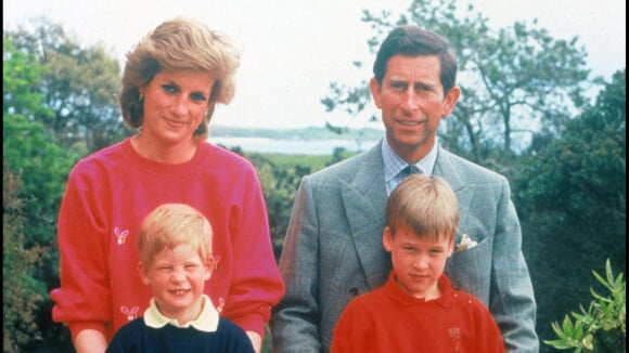 "C'était une véritable torture de..." : William gêné par les goûts vestimentaires de Lady Diana, Harry balance