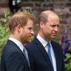 Harry et William en deuil et réunis avant le couronnement ? Ce triste évènement qui pourraient les rapprocher...