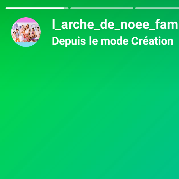 Louise Orgeval, de "Familles nombreuses", s'en est prise à elle sur Instagram