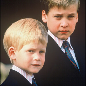 Mais à l'époque, le prince Harry avait 8 ans et avait été très choqué ! 
Les princes Harry et William en 1992.