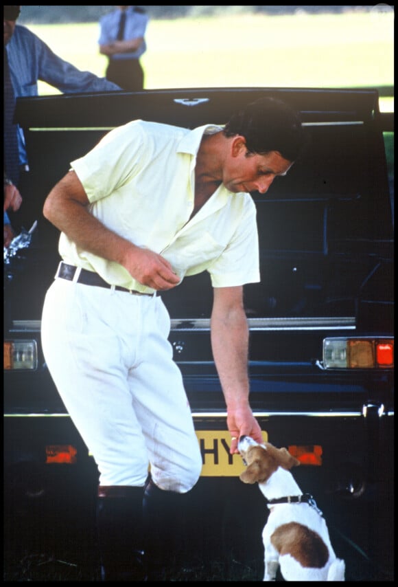 Le prince Charles d'Angleterre et son chien en 1994. 