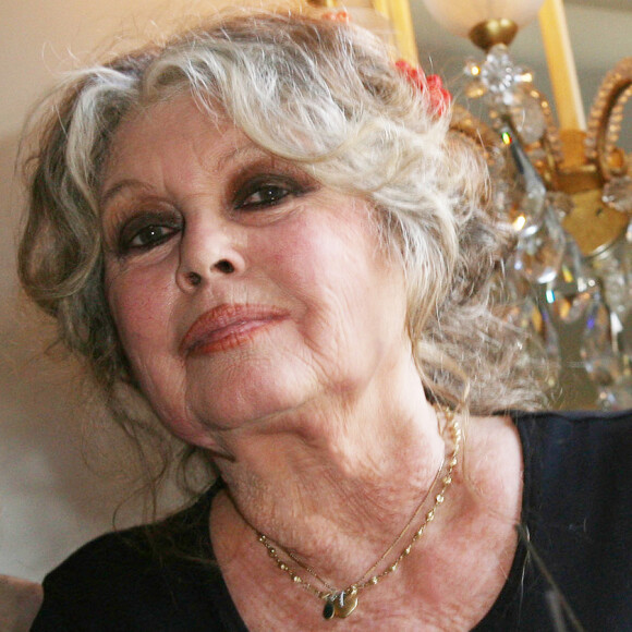 Si la Madrague est connue de tous les Français, Brigitte Bardot a acheté "il y a longtemps" une autre maison, baptisée la Garrigue. 
 
Brigitte Bardot lors des 20 ans de la Fondation Brigitte Bardot à Paris, le 28 septembre 2006. 