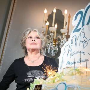 Le journaliste décrit "ce trésor niché dans la verdure"
Brigitte Bardot lors des 20 ans de la Fondation Brigitte Bardot à Paris, le 28 septembre 2006. 