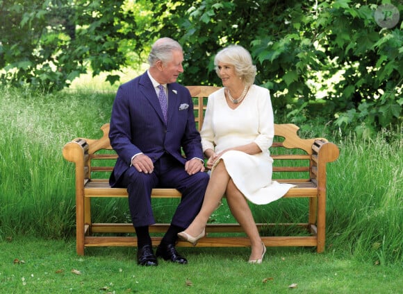 Charles III et la reine Camilla ne vivent pas à Buckingham, où ils travaillent seulement. 
Le prince Charles, prince de Galles et Camilla Parker Bowles, duchesse de Cornouailles posent pour leur carte voeux. 