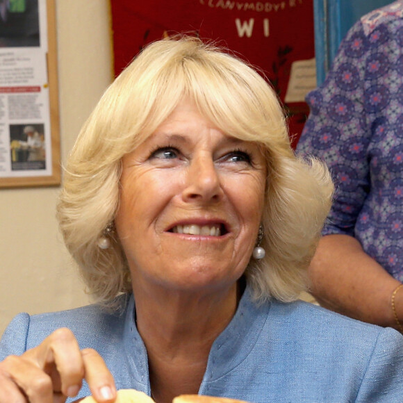 Camilla Parker Bowles, duchesse de Cornouailles, en visite à la YMCA à Llandovery. Le 8 juillet 2015