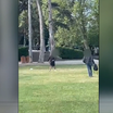 "La dinguerie au lac" : Attaque au couteau à Annecy, un footballeur professionnel a "croisé l'assaillant" et raconte l'horreur