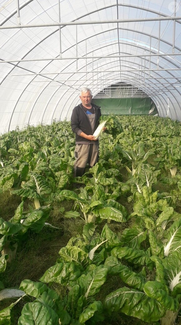 Il avait une passion pour les légumes
Didier Berton, agriculteur de la saison 6 de "L'amour est dans le pré", sur son explotation maraîchère.