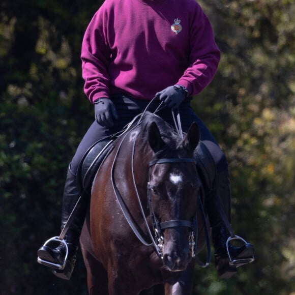 Le Prince Andrew est tout sourire lors d'une balade à cheval avec des palefreniers à Windsor, Royaume Unis le 27 Mai 2023. 