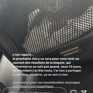 Dépitée, elle a annoncé vouloir s'éloigner des réseaux. "J'arrête Insta, je n'ai rien à partager à part mon désarroi, ça ne sert à rien", a-t-elle écrit sur une photo de son chat.
Agathe Auproux donne des nouvelles de son chat Mew, très malade. Instagram