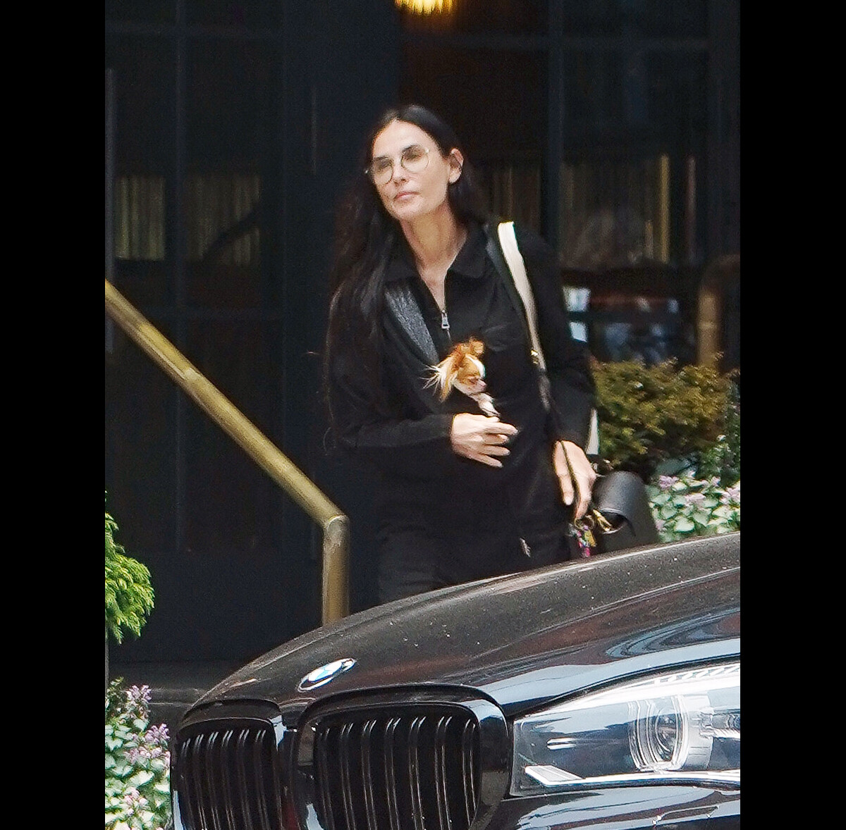 Photo : Exclusif - Demi Moore se promène avec son chien à New York le ...