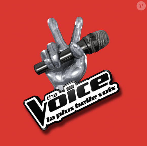 La nouvelle saison de "The Voice" approche et elle promet déjà de faire des heureux.
Logo officiel de l'émission "The Voice".