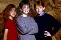 "Ils ne pouvaient s'empêcher..." Le 1er volet d'Harry Potter réalisé de façon étrange, la faute à Daniel Radcliffe et Emma Watson
