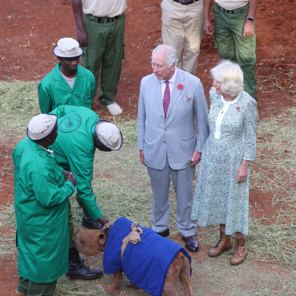 Le roi Charles III d'Angleterre et Camilla Parker Bowles, reine consort d'Angleterre, visitent l'orphelinat des éléphants Sheldrick Wildlife Trust dans le parc national de Nairobi, le 1er novembre 2023. Le couple royal britannique effectue un voyage officiel au Kenya. 
