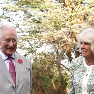 Le roi Charles III d'Angleterre et Camilla Parker Bowles, reine consort d'Angleterre, visitent l'orphelinat des éléphants Sheldrick Wildlife Trust dans le parc national de Nairobi, le 1er novembre 2023. 