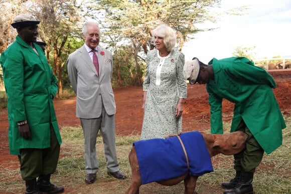 Le roi Charles III d'Angleterre et Camilla Parker Bowles, reine consort d'Angleterre, visitent l'orphelinat des éléphants Sheldrick Wildlife Trust dans le parc national de Nairobi, le 1er novembre 2023. 