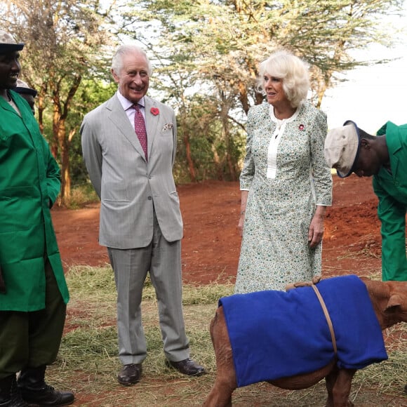 Le roi Charles III d'Angleterre et Camilla Parker Bowles, reine consort d'Angleterre, visitent l'orphelinat des éléphants Sheldrick Wildlife Trust dans le parc national de Nairobi, le 1er novembre 2023. 