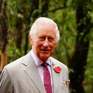 Notamment pour son fils et sa belle-fille.
Le roi Charles III d'Angleterre plante un arbre avec Karen Kimani lors d'une visite dans la forêt urbaine de Karura à Nairobi, le 1er novembre 2023, lors du voyage officiel du couple royal britannique au Kenya. 
