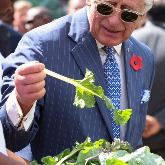 Le roi Charles III d'Angleterre, visite le projet de ferme urbaine City Shamba à l'hôpital Mama Lucy Kibaki de Nairobi, lors de leur voyage officiel au Kenya, le 31 octobre 2023. 