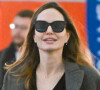 Leur divorce a fait couler beaucoup d'encre.
Exclusif - Angelina Jolie arrive à l'aéroport JFK à New York.
