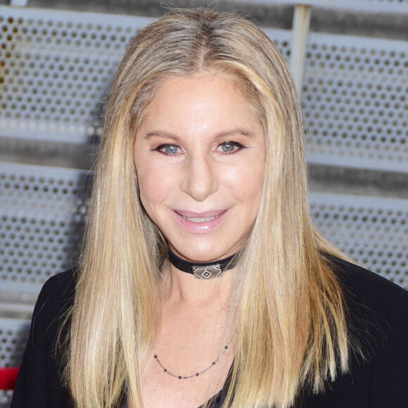 Barbra Streisand en couple avec un sportif bien plus jeune qu'elle
 
Barbra Streisand sur le tapis rouge du film " StoryTellers " lors du Festival du Film de Tribeca à New York. © CPA / Bestimage