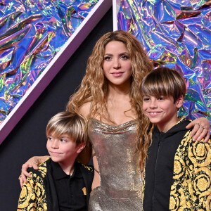 La star planétaire de la chanson Shakira (46 ans) a versé 6,6 millions d'euros
Archives : Shakira
