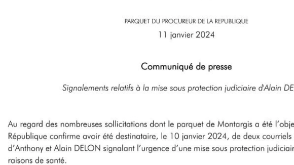 Santé d'Alain Delon et traitement : la défense d'Anouchka Delon ébranlée, un témoignage médical révélé