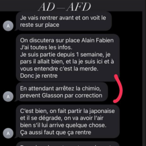 Anouchka Delon aurait notamment demandé à arrêter "la chimio" de leur père.