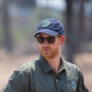 Son nom est en effet mêlé à une polémique causée par une ONG africaine qu'il soutient
Le prince Harry, duc de Sussex visite le parc national de Liwonde et la forêt Mangochi lors de la huitième journée de la visite royale en Afrique. Liwonde.