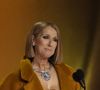 Céline Dion a fait une sublime apparition à Los Angeles pour les Grammy Awards
Céline Dion lors des Grammy Awards à la Crypto Arena à Los Angeles © Robert Hanashiro-USA Today/SPUS/ABACAPRESS.COM