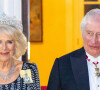 Il y a quelques jours, Camilla avait indiqué que le souverain se portait bien et le couple avait été vu tout sourire se rendant à une messe
La reine consort Camilla Parker Bowles, le roi Charles III d'Angleterre - Arrivées au dîner d'état donné par le président allemand et sa femme en l'honneur du roi d'Angleterre et de la reine consort, au Château Bellevue à Berlin, à l'occasion du premier voyage officiel du roi d'Angleterre en Europe. Le 29 mars 2023