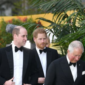 Le prince William, duc de Cambridge, le prince Harry, duc de Sussex, le prince Charles, prince de Galles lors de la première mondiale de la série Netflix "Our Planet" au Musée d'histoire naturelle de Londres le 4 avril 2019. 