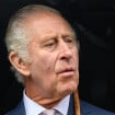 Charles III : Révélations sur la possible origine de son cancer par un expert, le prince Harry pointé du doigt