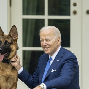 Ils doivent en effet se séparer de leur chien.
Le président Joe Biden passe du temps avec son berger allemand, Commander, dans le jardin de la Maison Blanche, 26 septembre 2022. © Adam Schultz/White House/ZUMA Press/Bestimage