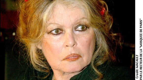 "Écoeurée, désespérée, scandalisée" : Brigitte Bardot à bout, son coup de gueule contre les "stars gouvernementales"