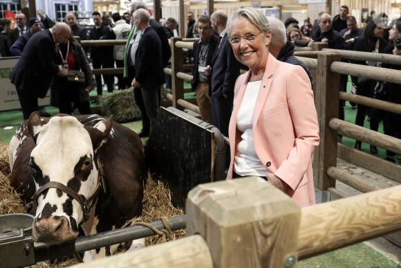 L'ancienne Première ministre Elisabeth Borne - 60e Salon international de l'Agriculture à Paris, le 29 février 2024. © Stéphane Lemouton / Bestimage