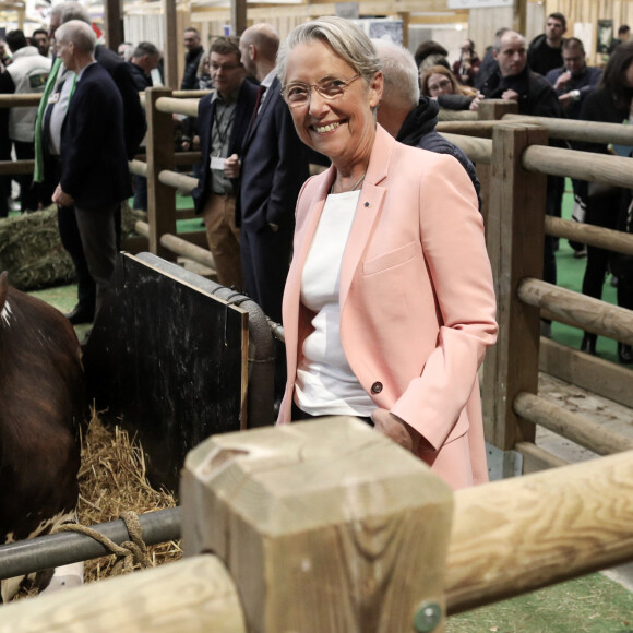 L'ancienne Première ministre Elisabeth Borne - 60e Salon international de l'Agriculture à Paris, le 29 février 2024. © Stéphane Lemouton / Bestimage