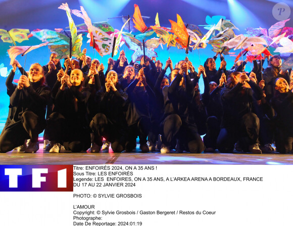 Le concert des Enfoirés diffusé sur TF1.