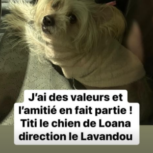 Le chien de Loana "direction le Lavandou" avec Eryl Prayer, l'ami de la star.