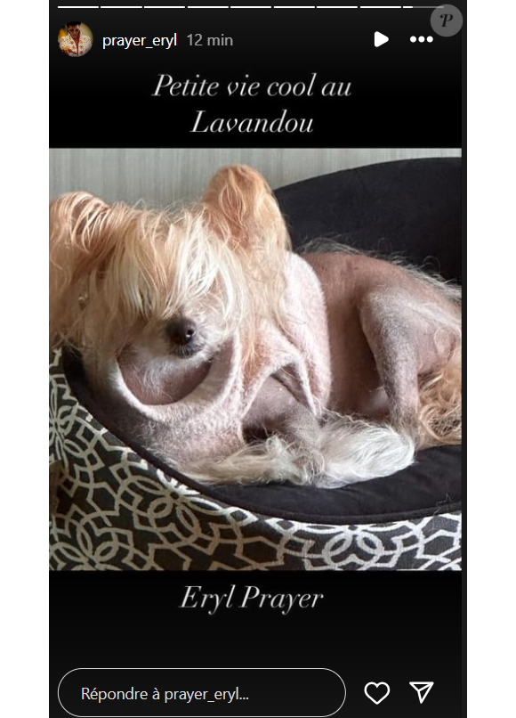 Titi, le chien de Loana, récupéré par son ami alors qu'elle serait hospitalisée.