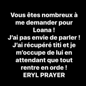 Titi, le chien de Loana, récupéré par son ami alors qu'elle serait hospitalisée.