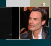 Anthony Delon face à des images d'archives de ses parents Alain et Nathalie Delon sur le plateau de "Quelle époque !" sur France 2 le 30 mars 2024.