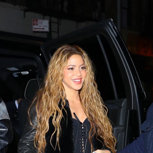 "Ils se voient actuellement, mais ne sont pas encore très impliqués dans la relation", ajoute cette même source
 
Shakira et Lucien Laviscount à New York.