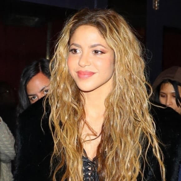 Shakira en couple avec un jeune acteur anglais ?
 
Shakira et Lucien Laviscount à New York.