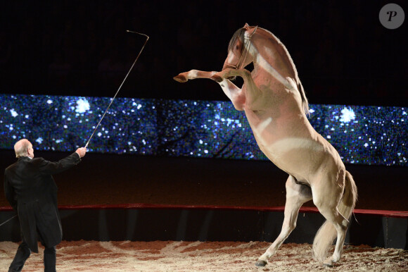 Alexis Gruss pendant le spectacle "les étalons d'Alexis", création pour La nuit du cheval du Salon du Cheval 2015 à Paris Nord-Villepinte. Le 28 Novembre 2015 © Christophe Bricot / Bestimage