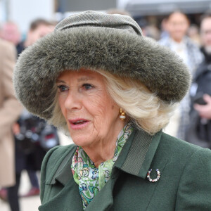 Camilla Parker Bowles, reine consort d'Angleterre, arrive au Cheltenham Festival 2024 - jour 2 à l'hippodrome de Cheltenham Prestbury Park, Royaume-Uni, le 13 mars 2024. 