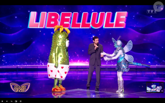 La Libellule, "Mask Singer", TF1.