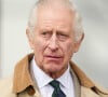 De nombreuses rumeurs ont vu le jour concernant un possible rendez-vous avec le roi Charles III
Le roi Charles III d'Angleterre, et Zara Phillips (Zara Tindall), se retrouvent au concours hippique Royal Windsor Horse Show à Windsor le 3 mai 2024. 