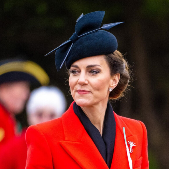 En attendant que la sublime et parfaite Kate puisse enfin reprendre les engagements... 
Kate Middeton, princesse de Galles.