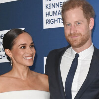 Meghan et Harry au coeur d'une affaire concernant un fugitif recherché aux États-Unis, Charles et William "absolument furieux"